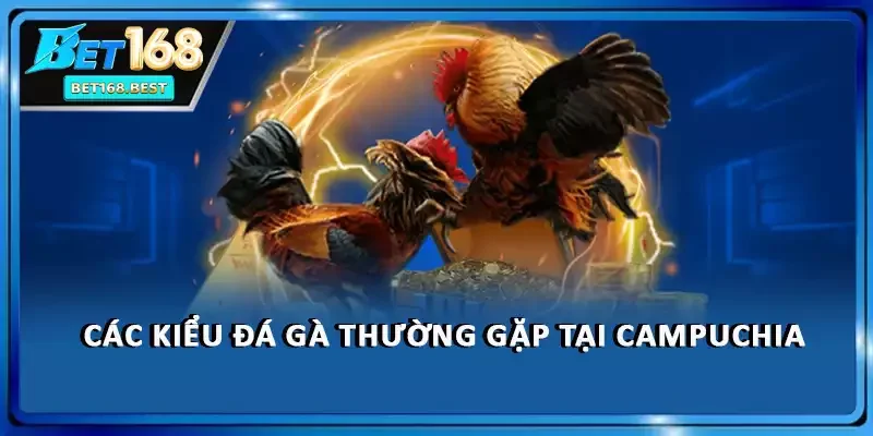Các kiểu đá gà thường gặp tại Campuchia