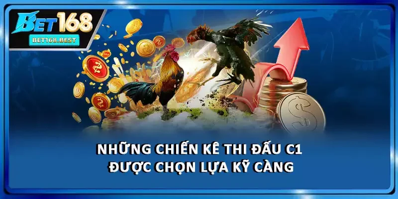Những chiến kê thi đấu C1 được chọn lựa kỹ càng