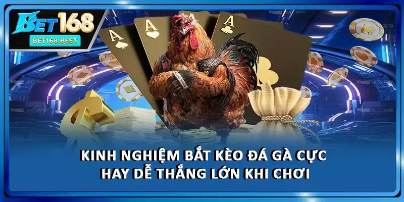 Kinh nghiệm bắt cược cực hay dễ thắng lớn khi chơi