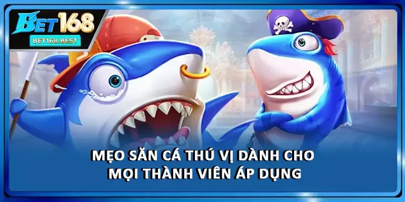 Mẹo săn cá thú vị dành cho mọi thành viên áp dụng