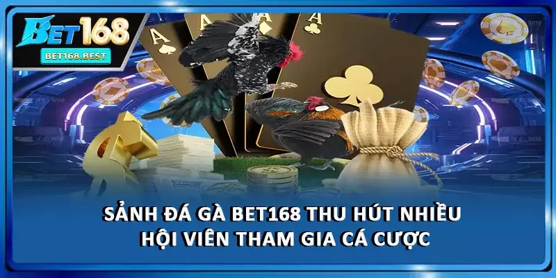 Sảnh đá gà BET168 thu hút nhiều hội viên tham gia cá cược