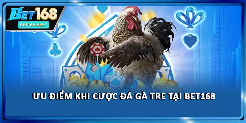 Ưu điểm khi cược đá gà tre tại BET168