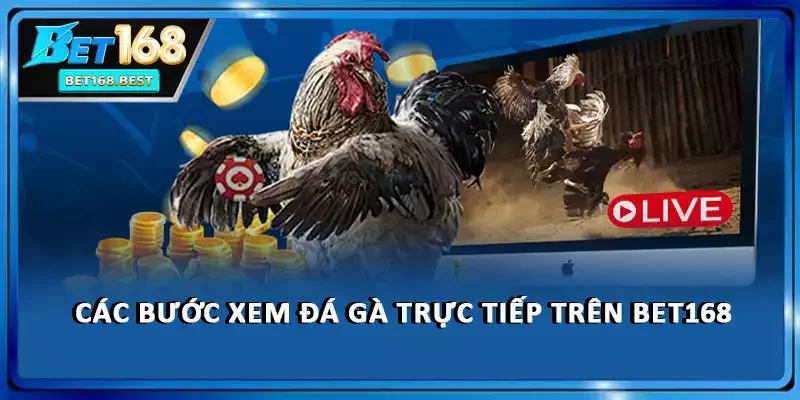 Các bước xem đá gà trực tiếp trên BET168